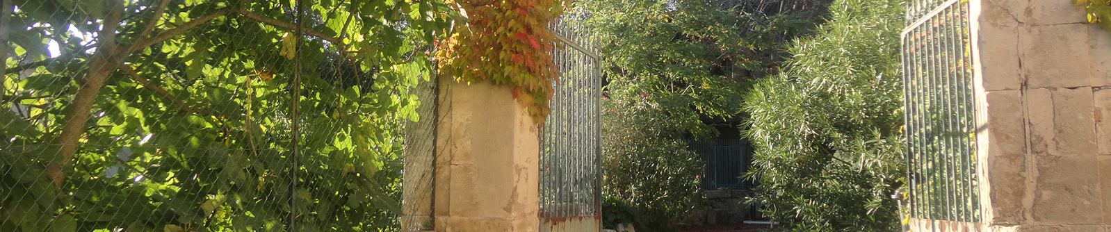 Domaine Saint Julia, degustation de vins du pays d'oc, Murviel les Montpellier
