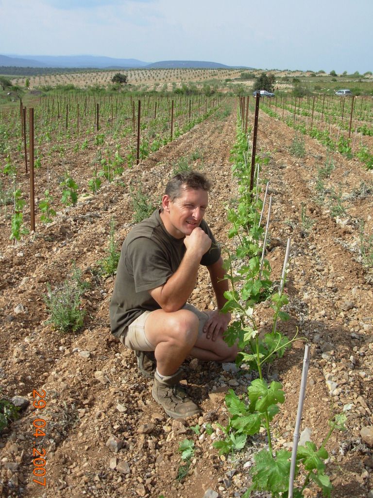 Travail au pied des vignes
