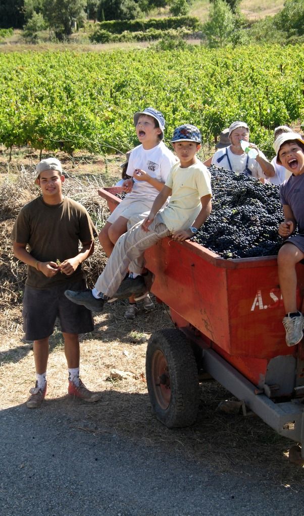 Équipe de vendanges auprès du tracteur