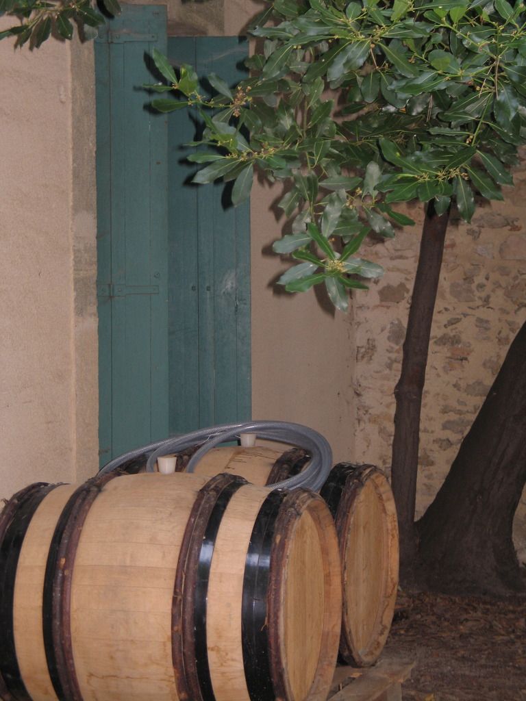 Barriques dans la cave du domaine