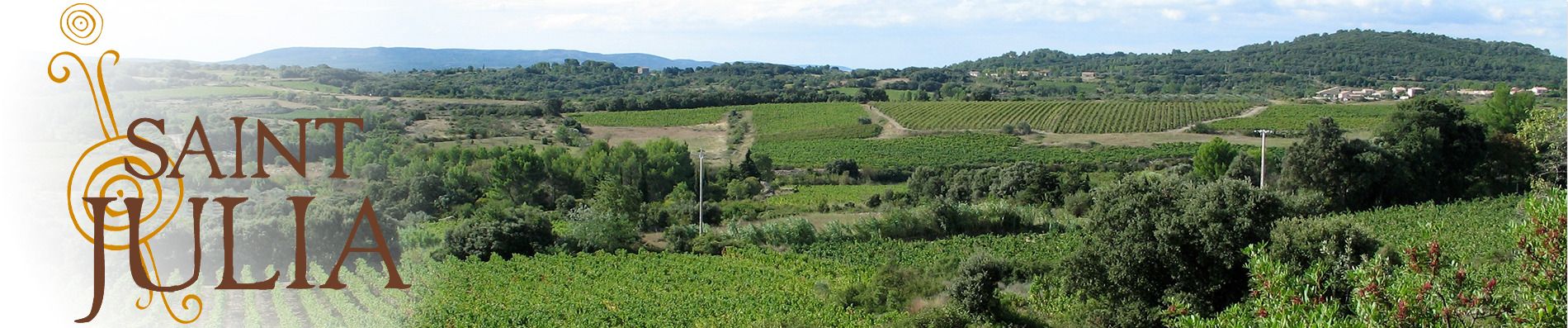 Vignes du Domaine Saint Julia
