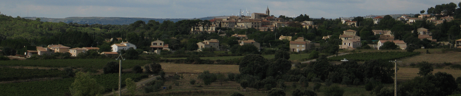 Domaine Saint Julia, degustation de vin Montpellier, Hérault 34.